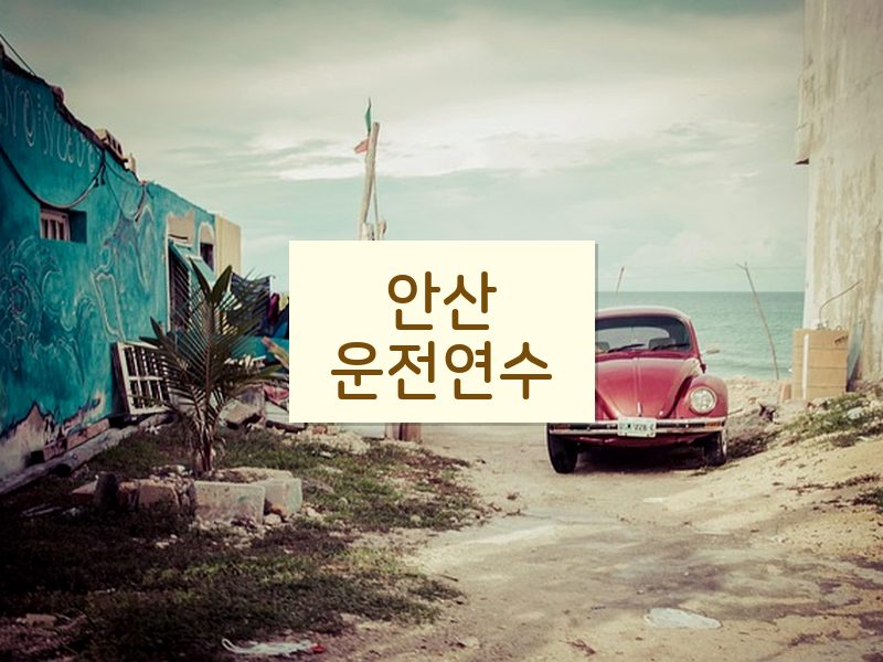 안산운전연수 후기