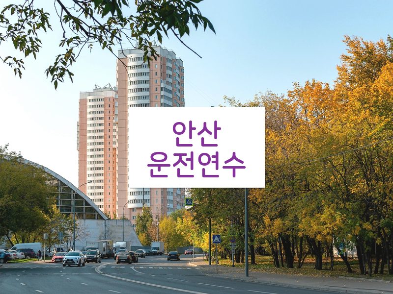 안산운전연수 후기