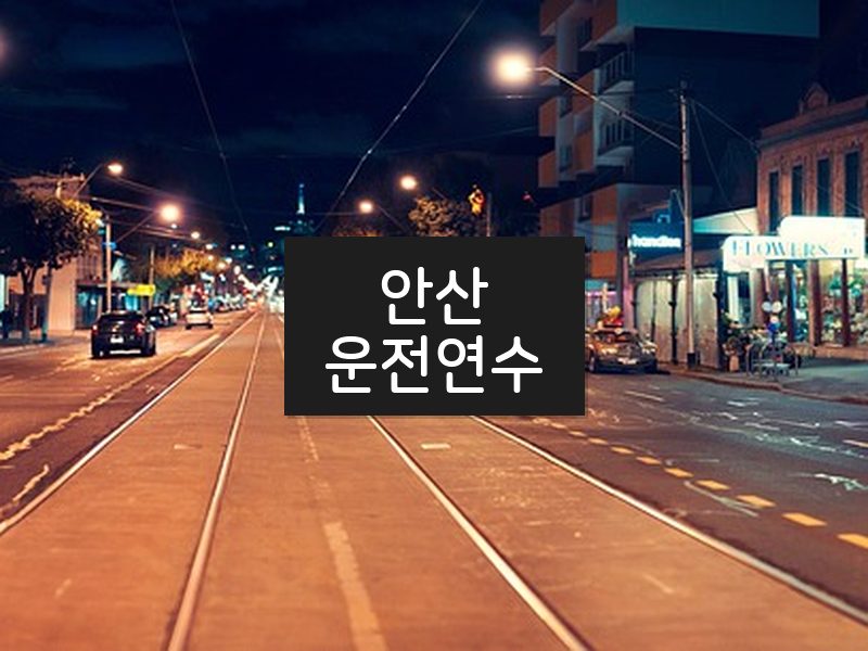 안산운전연수 후기