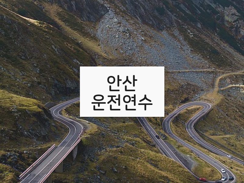 안산운전연수 후기