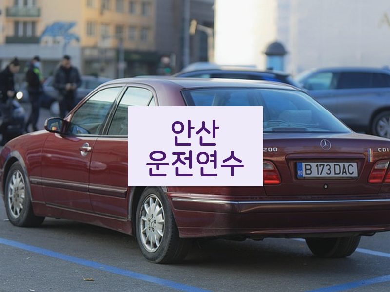 안산운전연수 후기