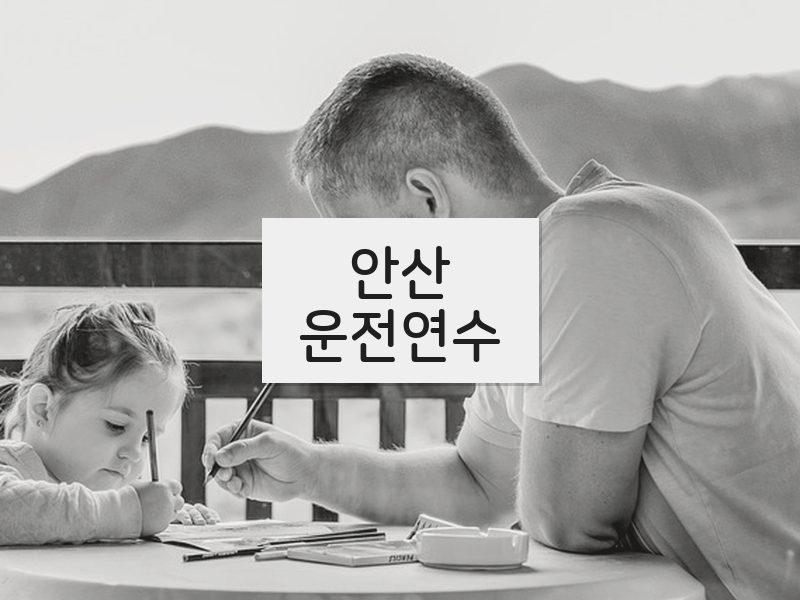 안산운전연수 후기