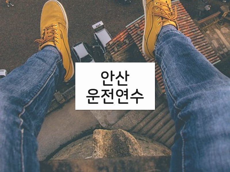안산운전연수 후기