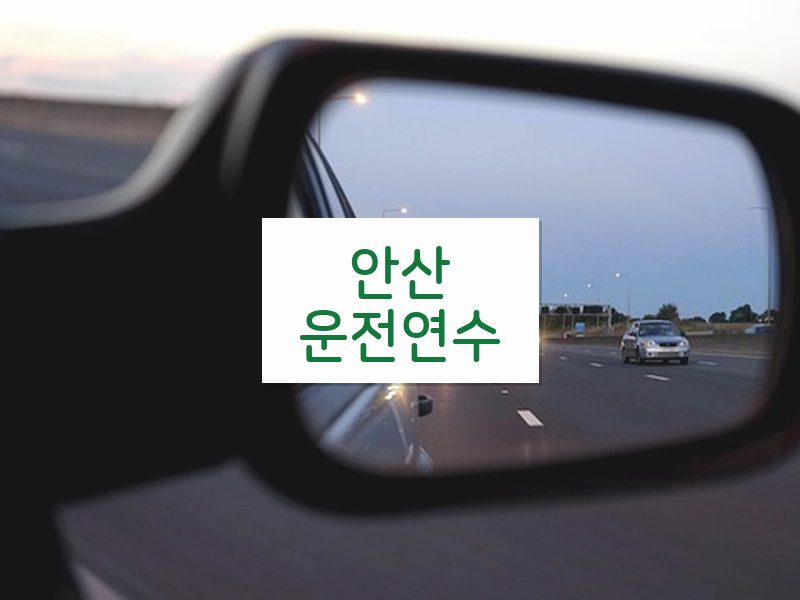안산운전연수 후기