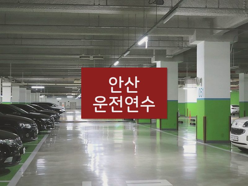 안산운전연수 후기