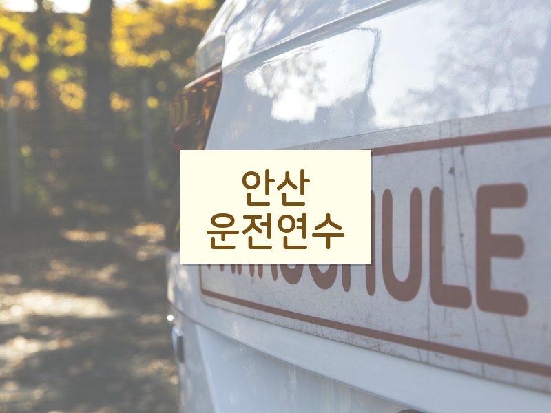 안산운전연수 후기
