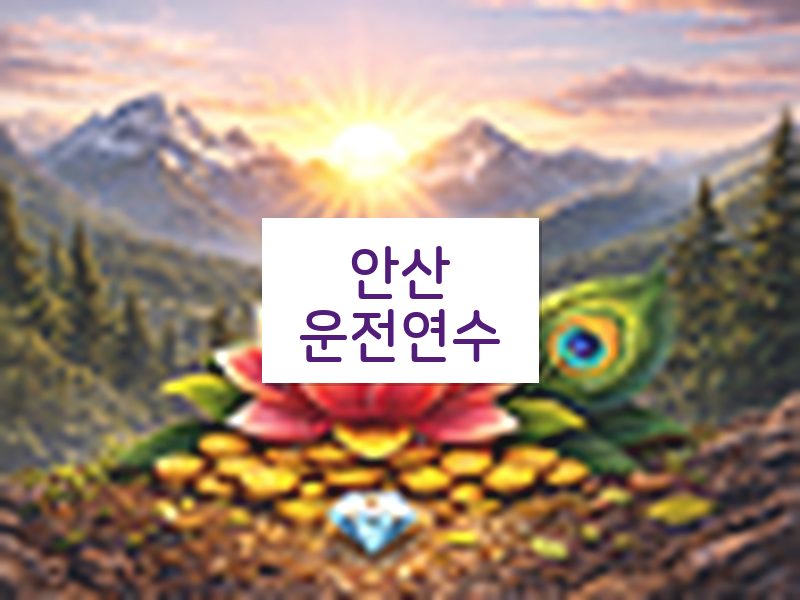 안산운전연수 후기