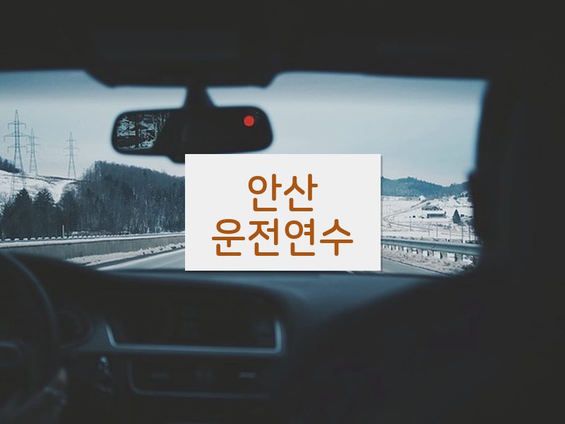 안산운전연수 후기