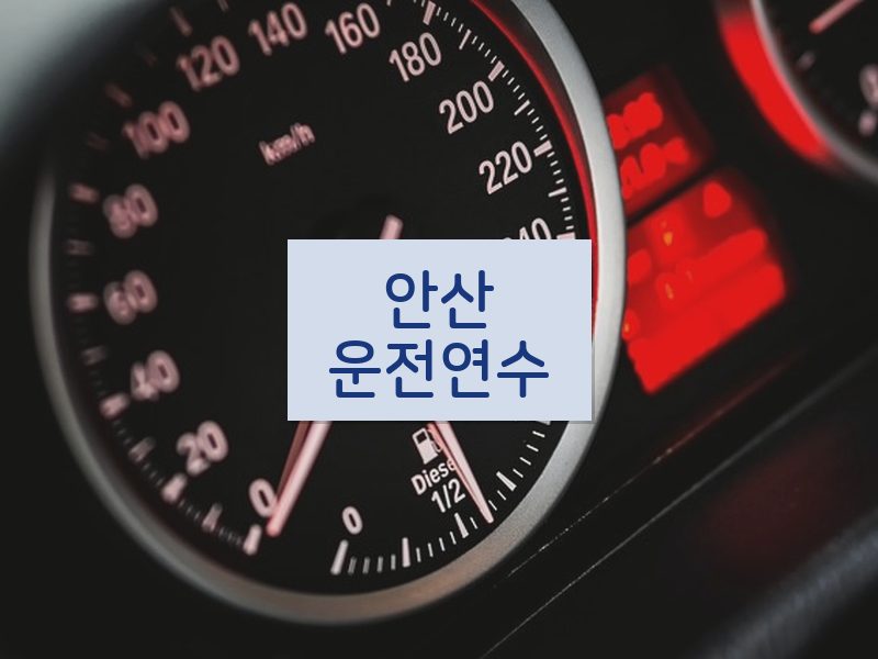 안산운전연수 후기