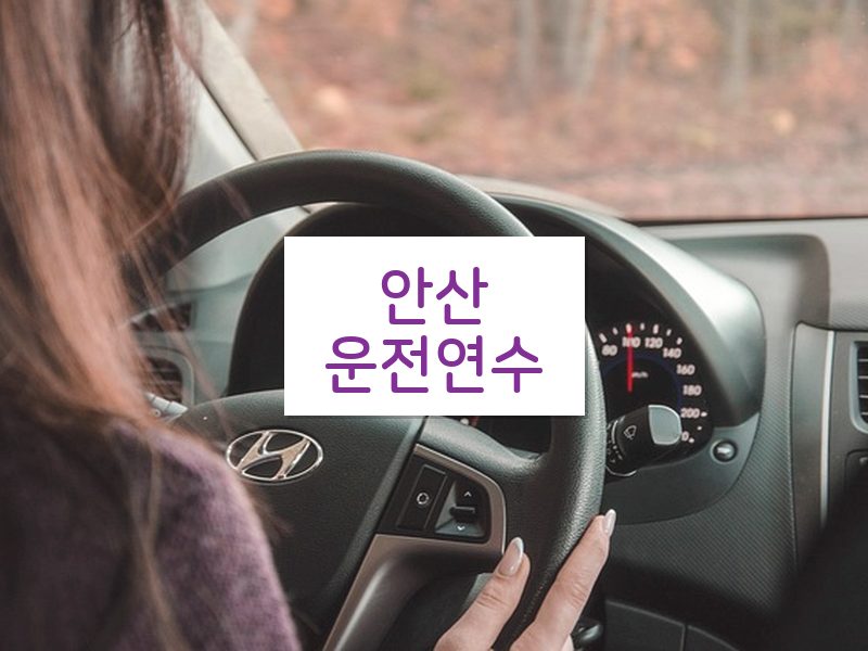 안산운전연수 후기