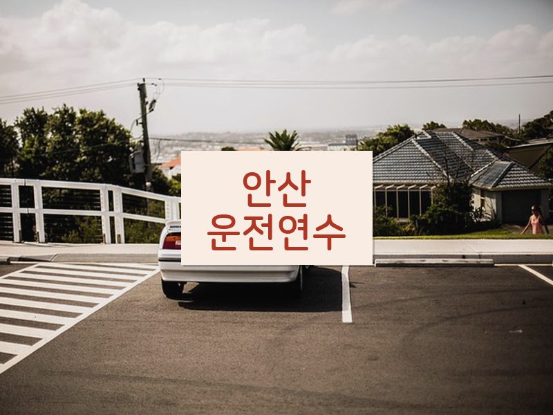 안산운전연수 후기