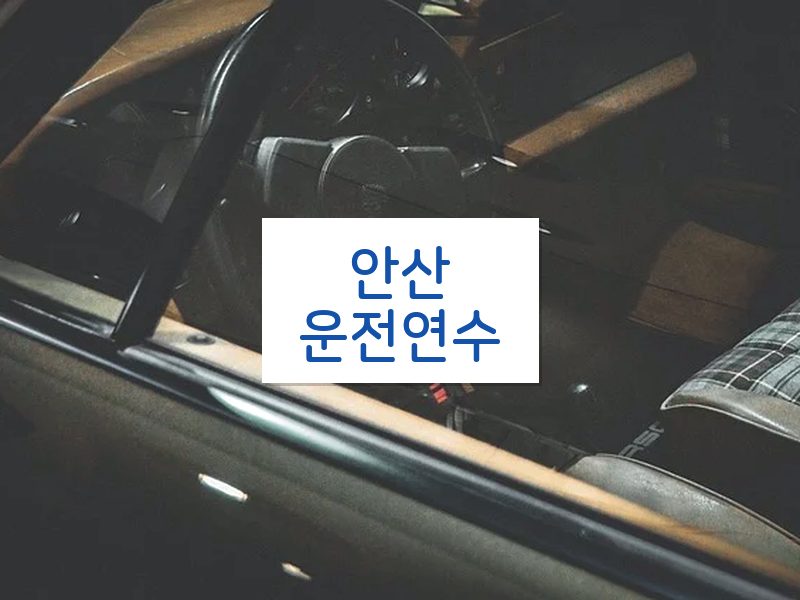 안산운전연수 후기