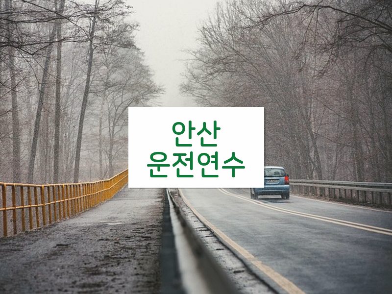 안산운전연수 후기
