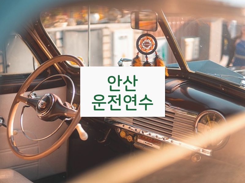 안산운전연수 후기