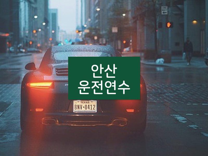 안산운전연수 후기