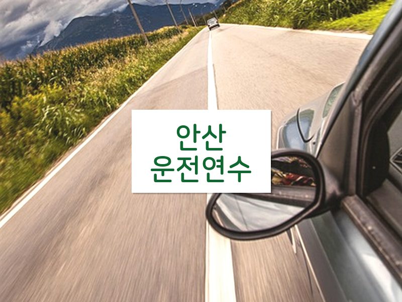 안산운전연수 후기