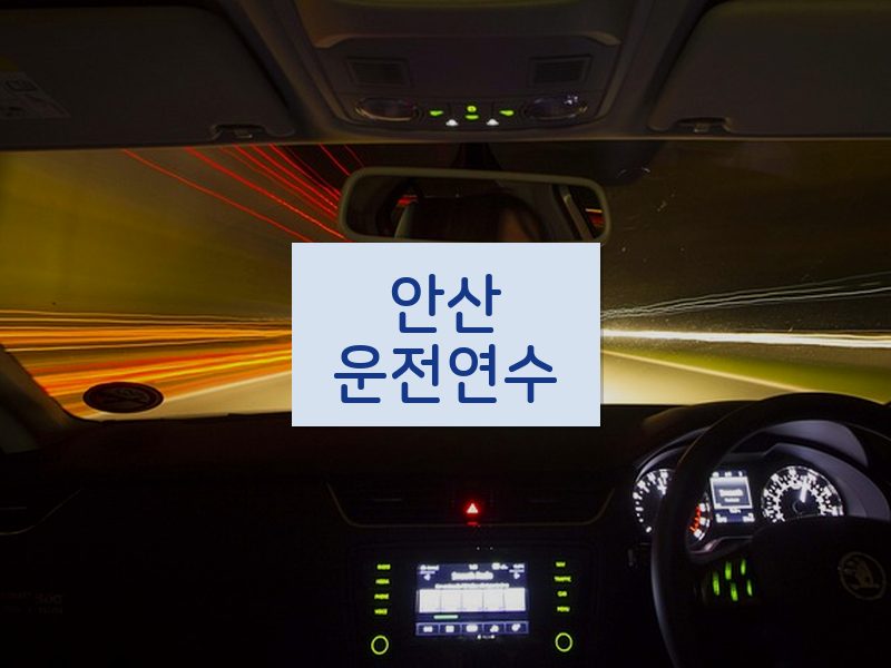 안산운전연수 후기