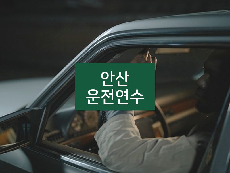안산운전연수 후기