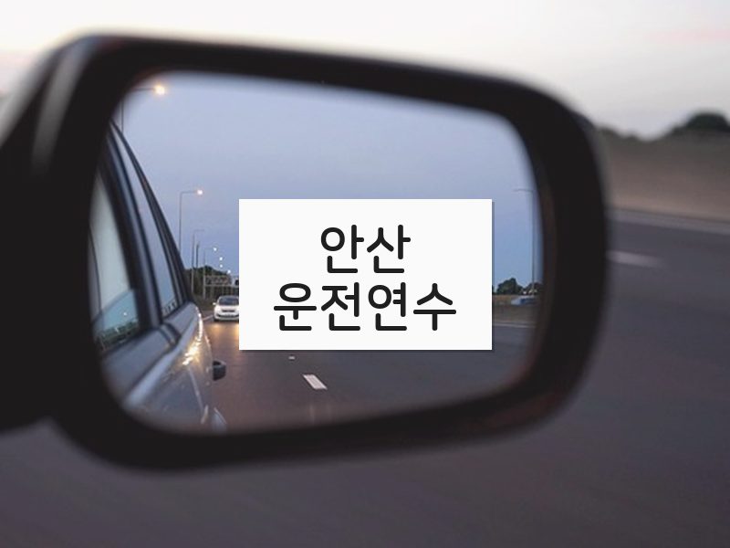 안산운전연수 후기