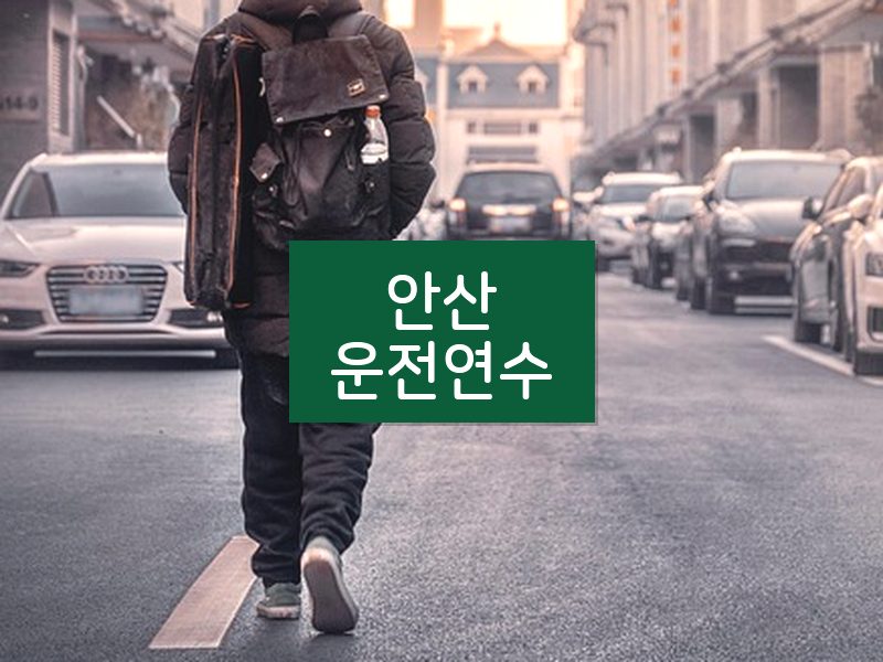 안산운전연수 후기