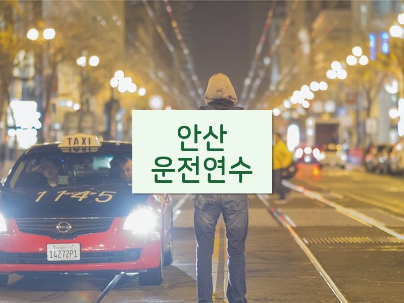 안산운전연수 후기