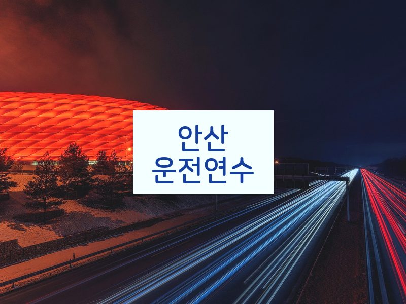 안산운전연수 후기