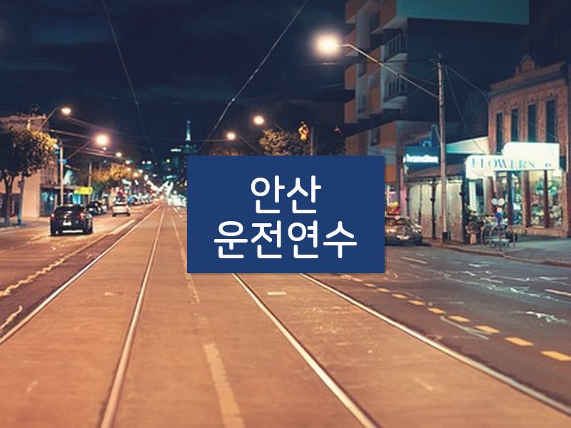 안산운전연수 후기