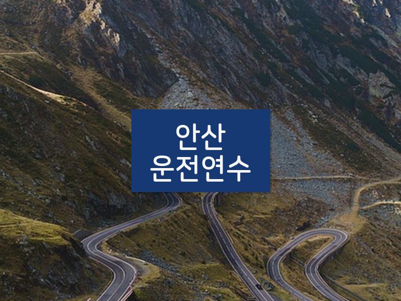안산운전연수 후기
