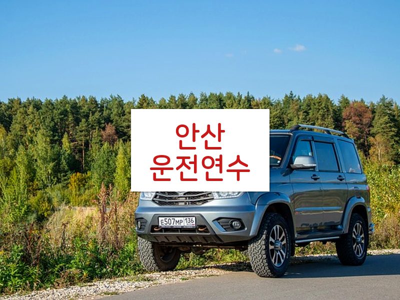 안산운전연수 후기
