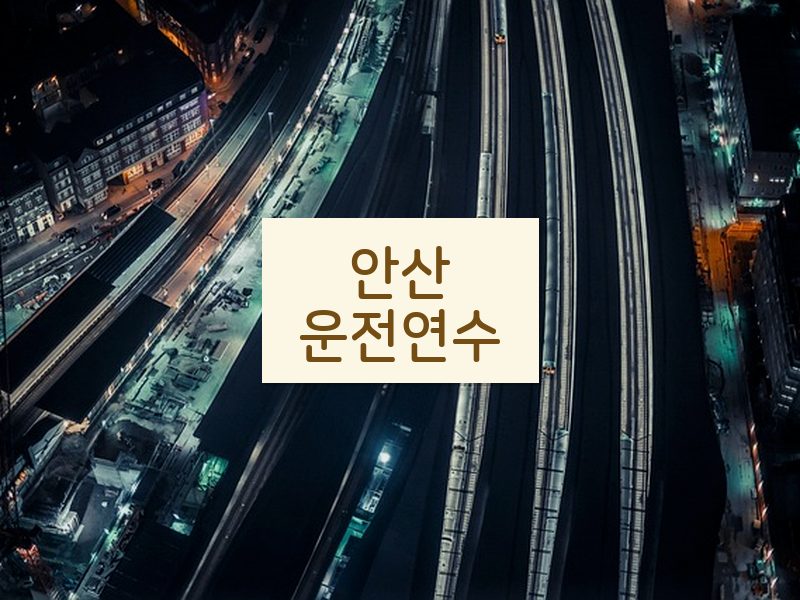 안산운전연수 후기