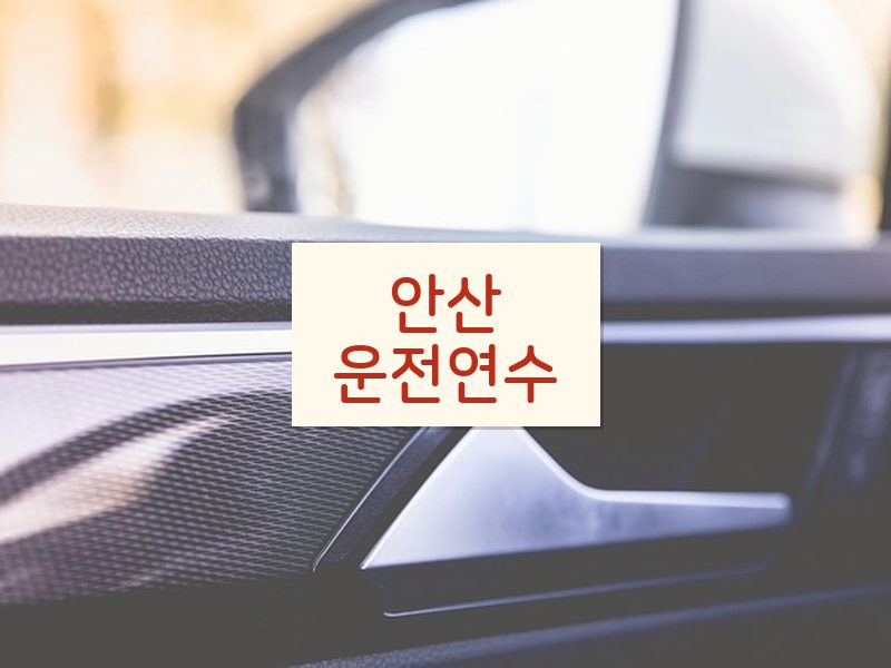 안산운전연수 후기