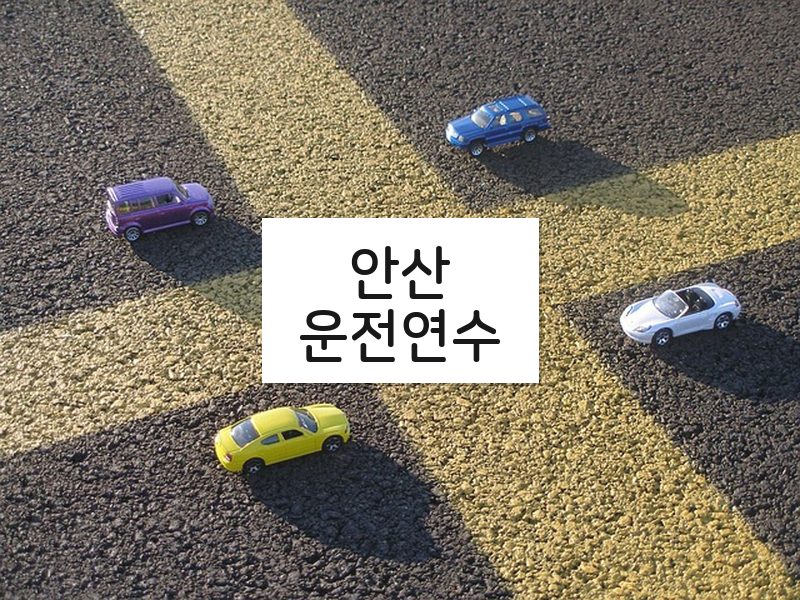 안산운전연수 후기