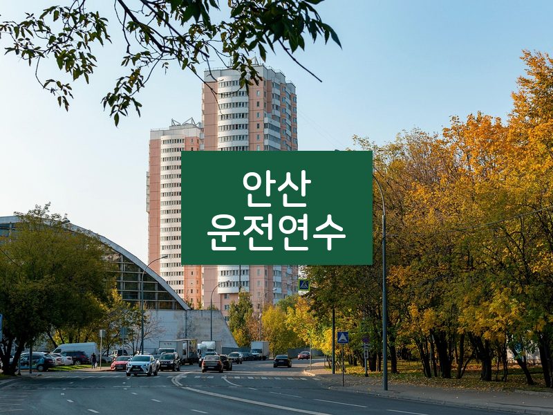 안산운전연수 후기