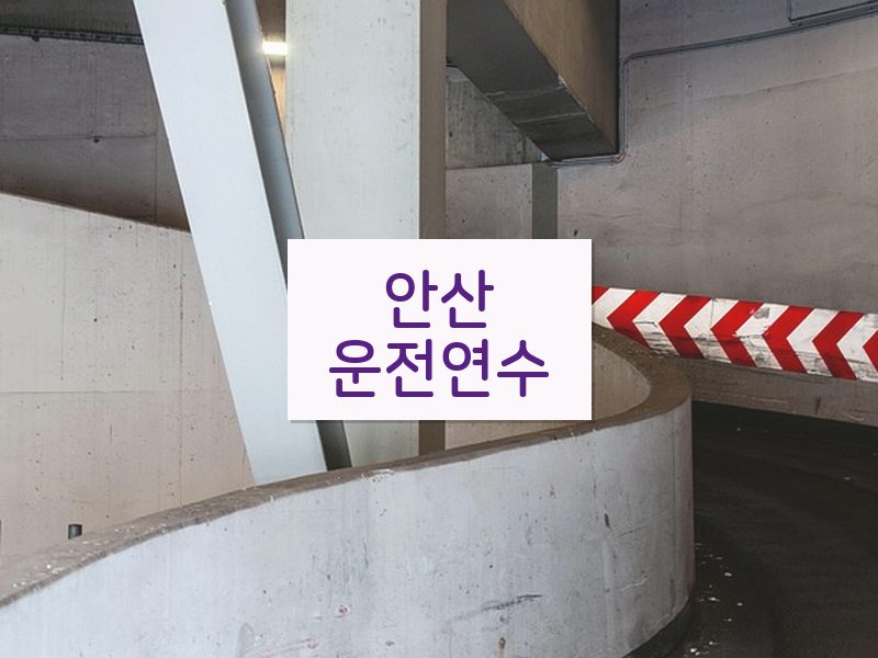 안산운전연수 후기
