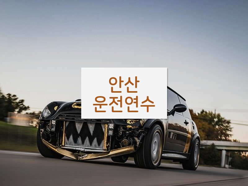 안산운전연수 후기