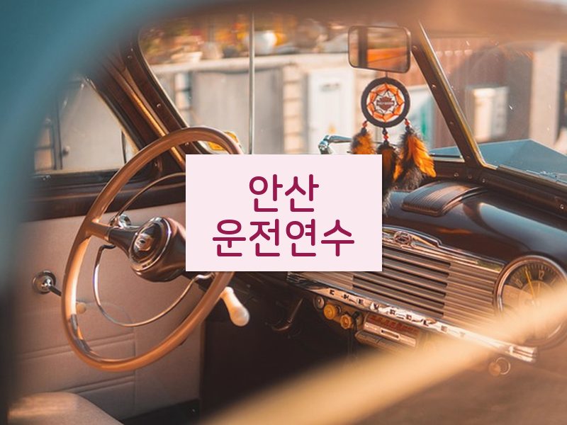 안산운전연수 후기