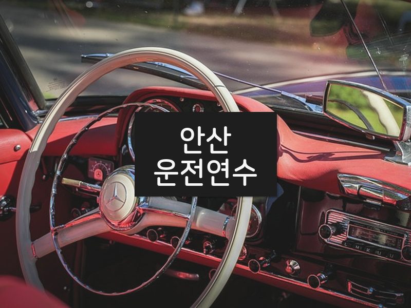 안산운전연수 후기