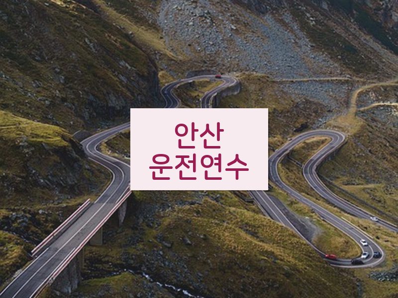 안산운전연수 후기