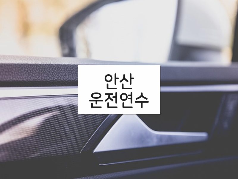 안산운전연수 후기