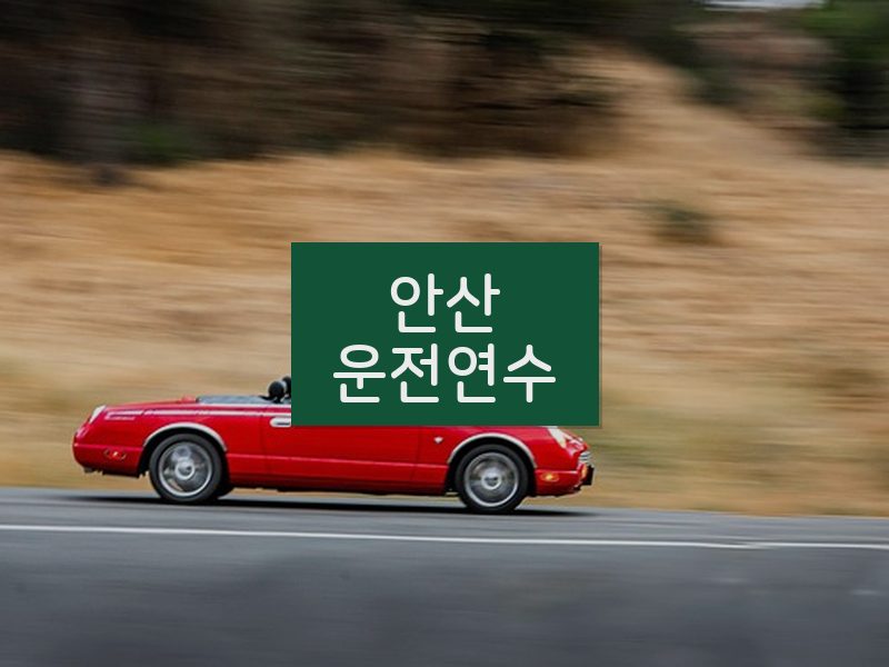 안산운전연수 후기
