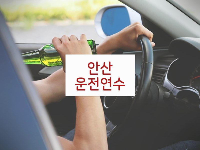 안산운전연수 후기