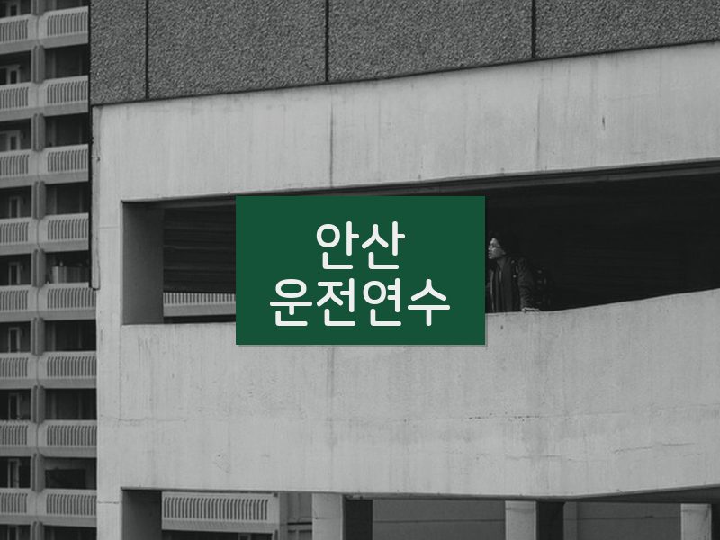 안산운전연수 후기