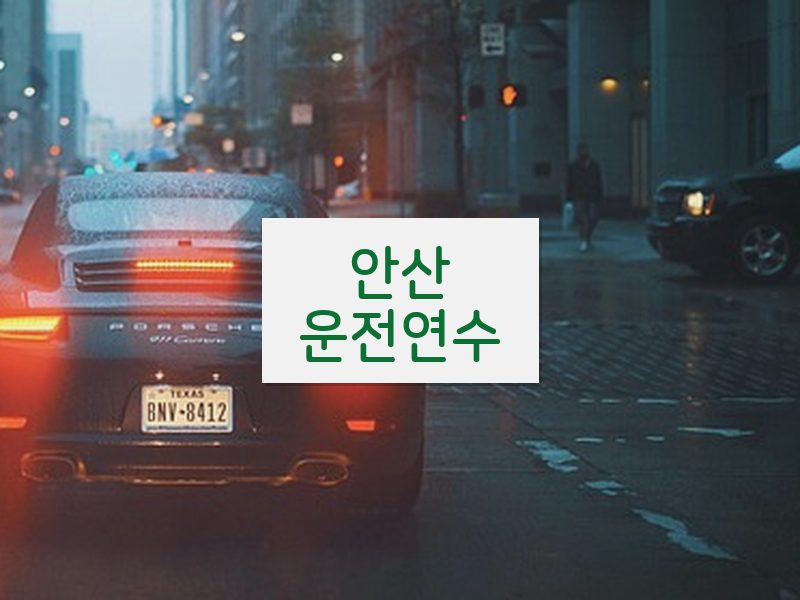 안산운전연수 후기