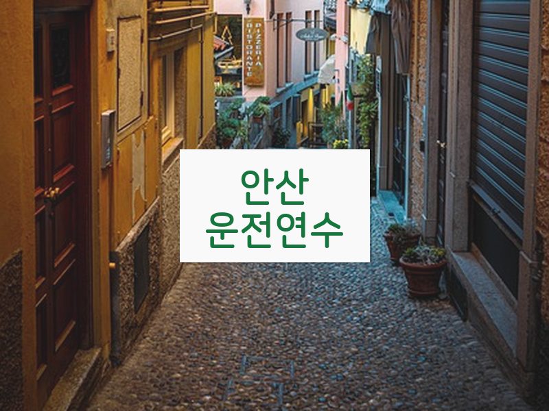 안산운전연수 후기