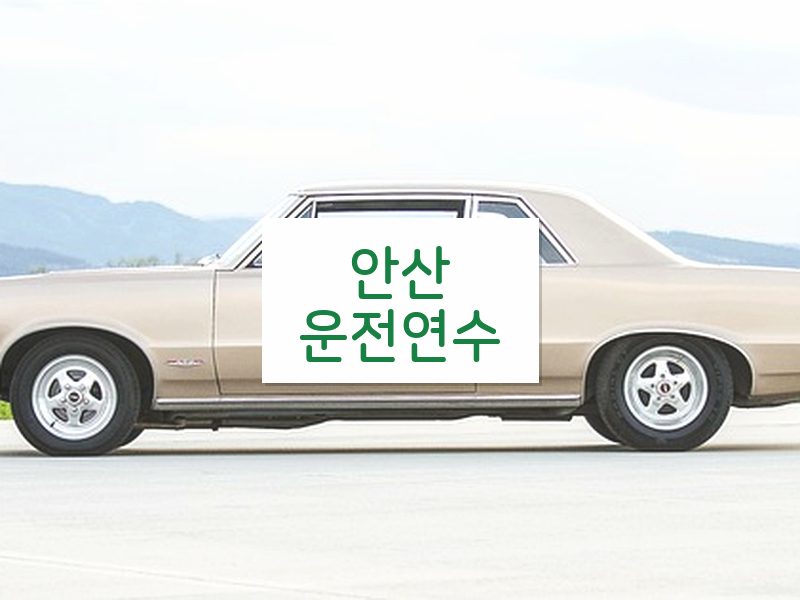 안산운전연수 후기