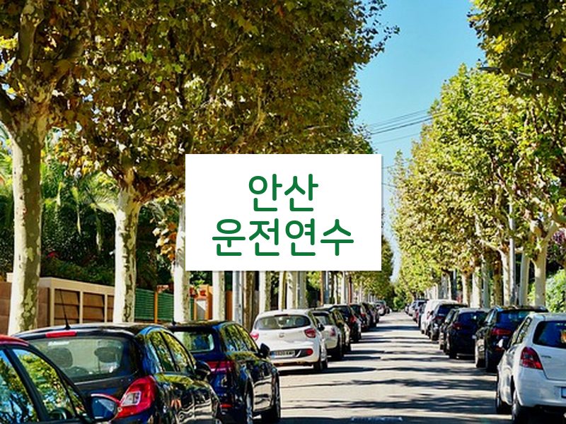 안산운전연수 후기