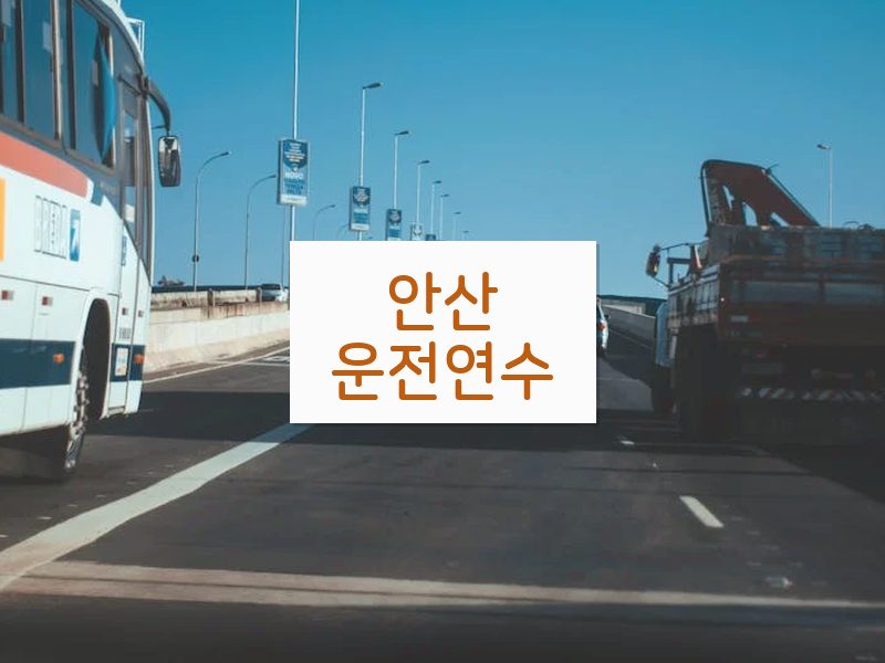안산운전연수 후기