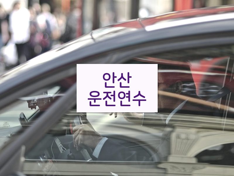 안산운전연수 후기