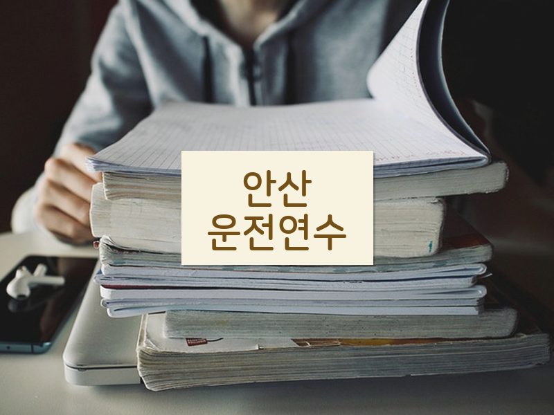 안산운전연수 후기