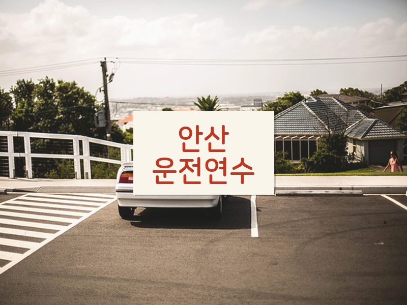 안산운전연수 후기